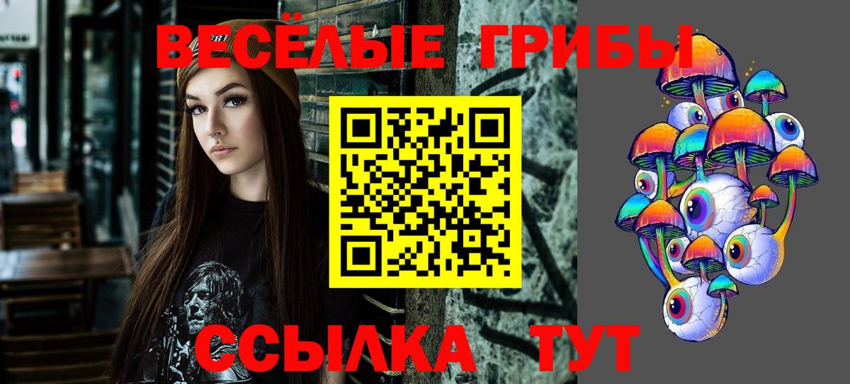 Галлюциногенные грибы мухоморы  Вход с VPN  Галлюциногенные грибы прущие грибы  Железноводск 